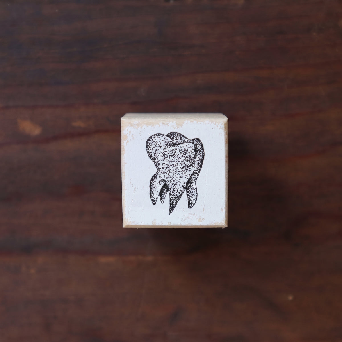 Magical Teeth Wooden Stamp Collection