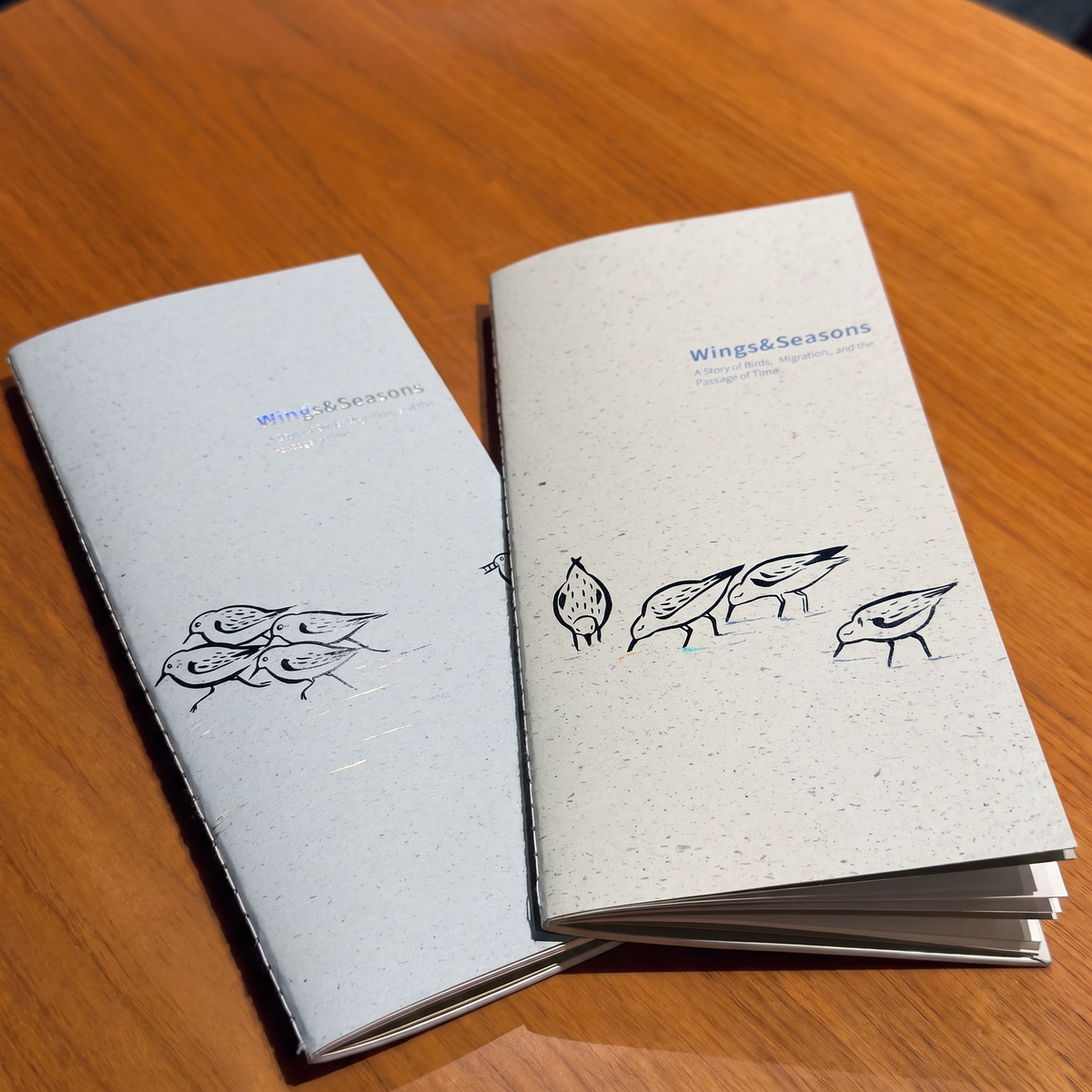Wings & Migration: Sanderling - TN Standard/Passport Insert