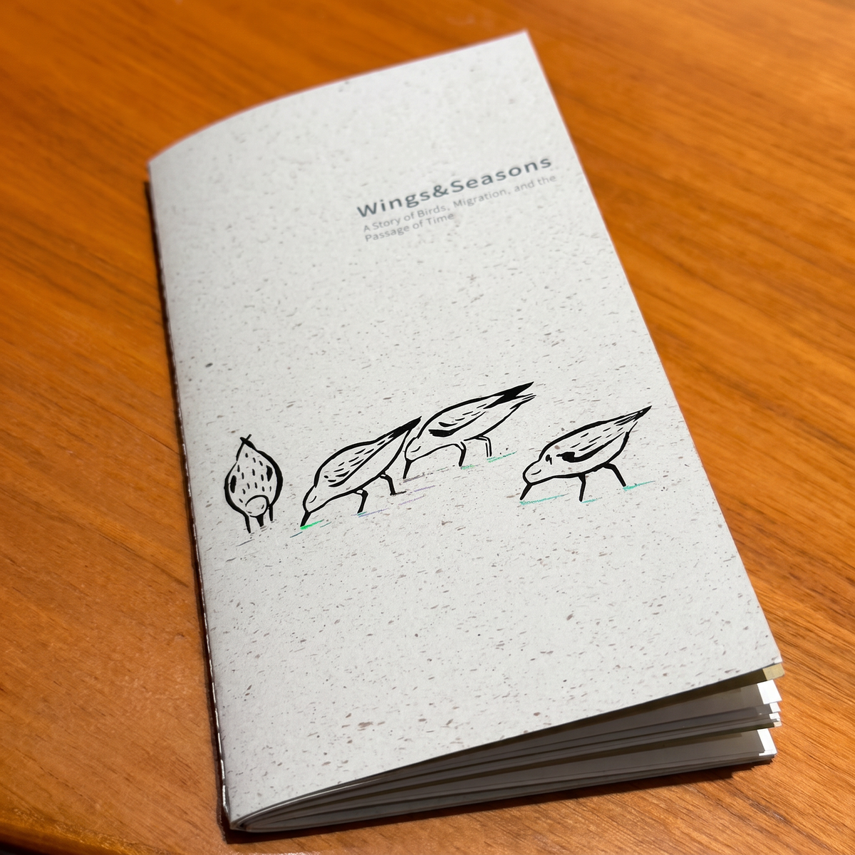 Wings & Migration: Sanderling - TN Standard/Passport Insert