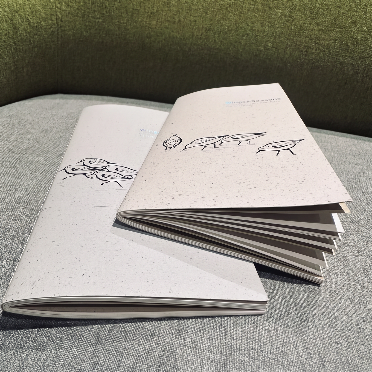 Wings & Migration: Sanderling - TN Standard/Passport Insert
