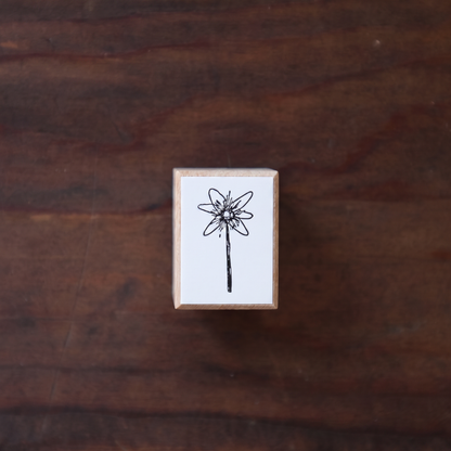 Magical Teeth Wooden Stamp Collection