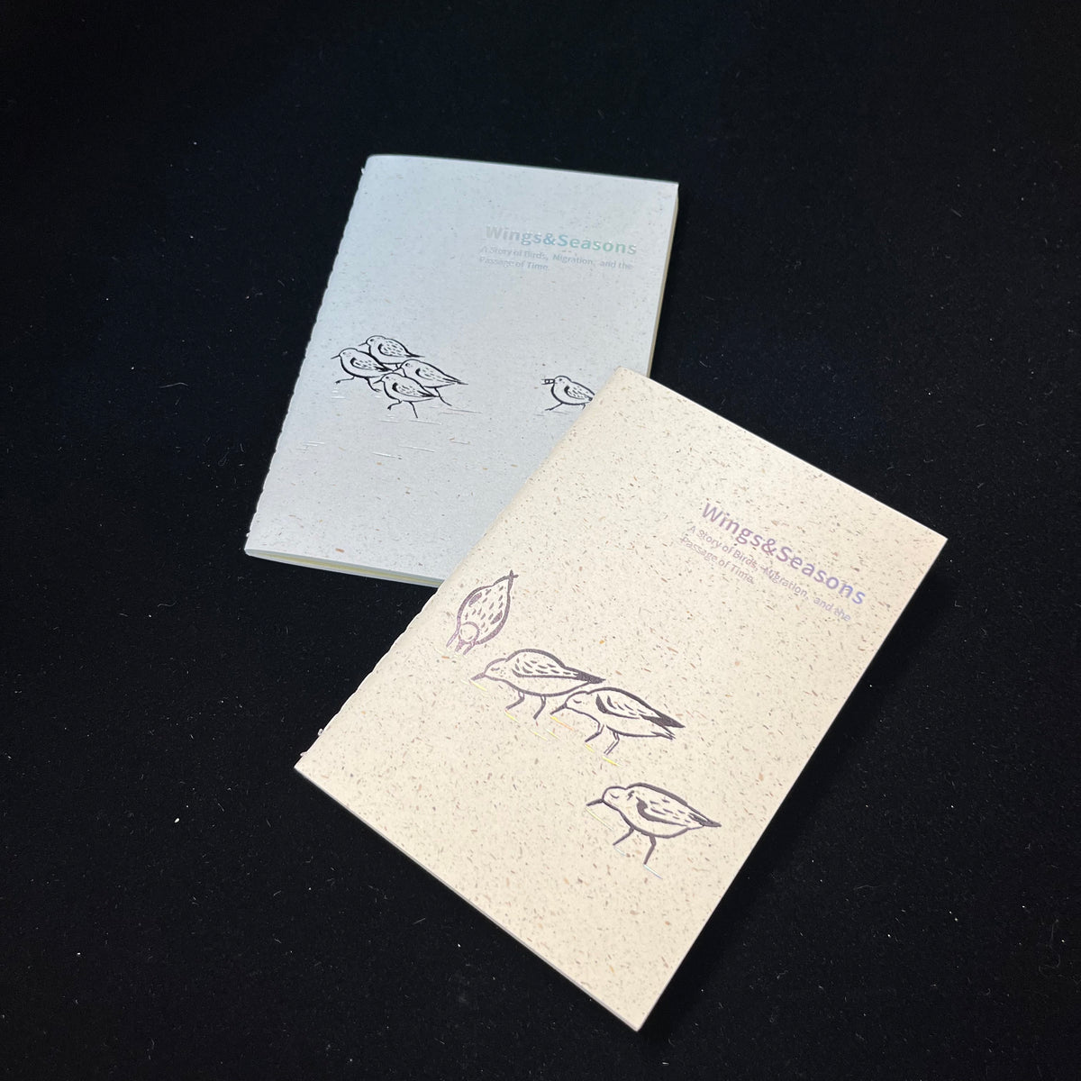 Wings & Migration: Sanderling - TN Standard/Passport Insert