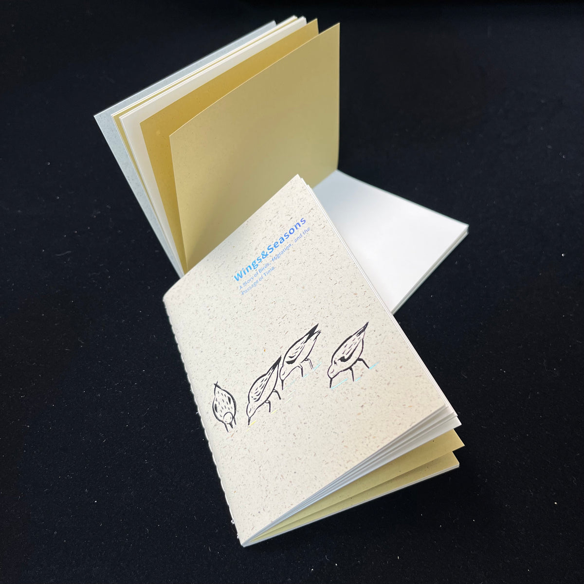 Wings & Migration: Sanderling - TN Standard/Passport Insert